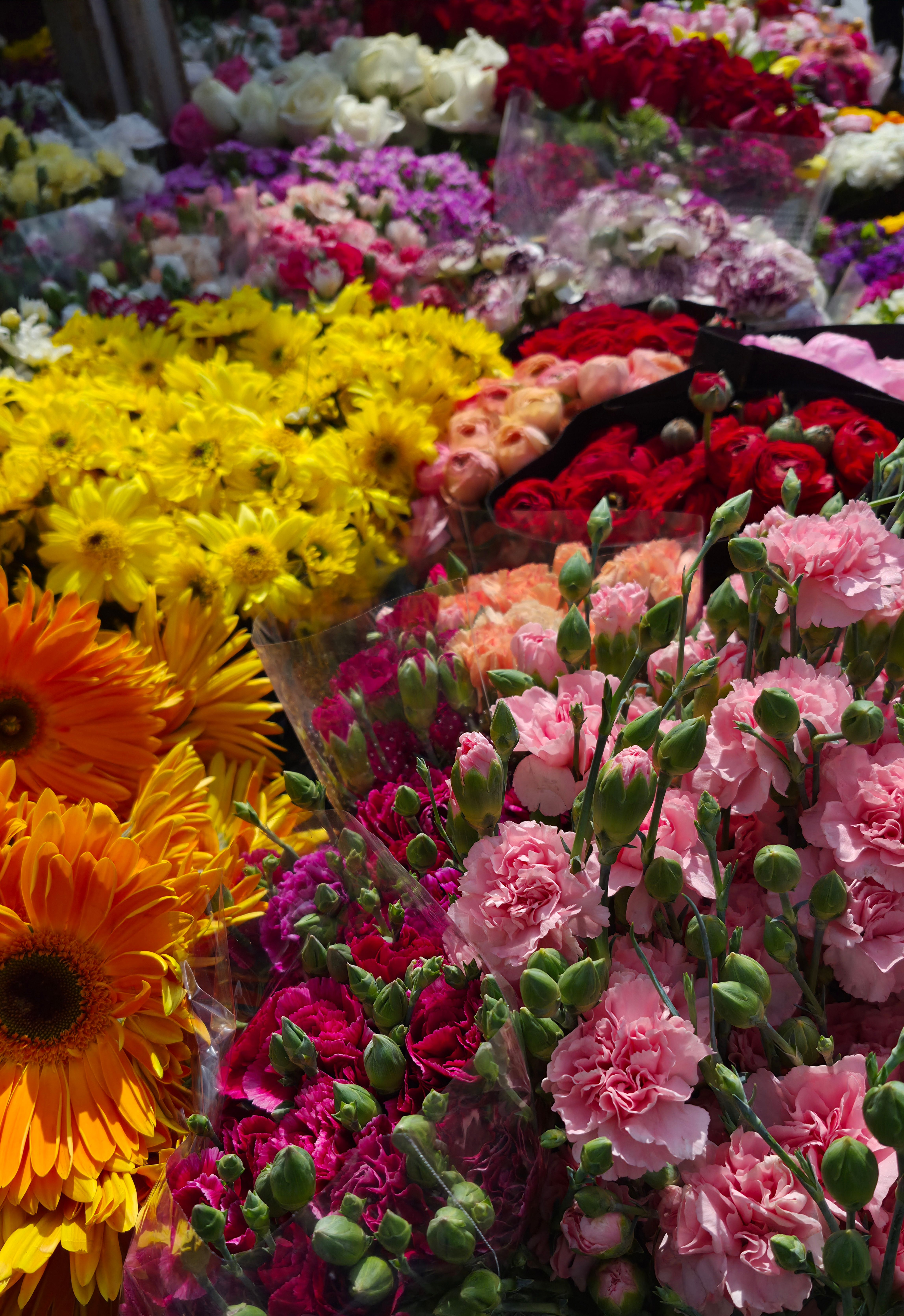 [ColoSach]-colorful-assortment-of-flowers-beautifully-arranged-at-an-outdoor-market.