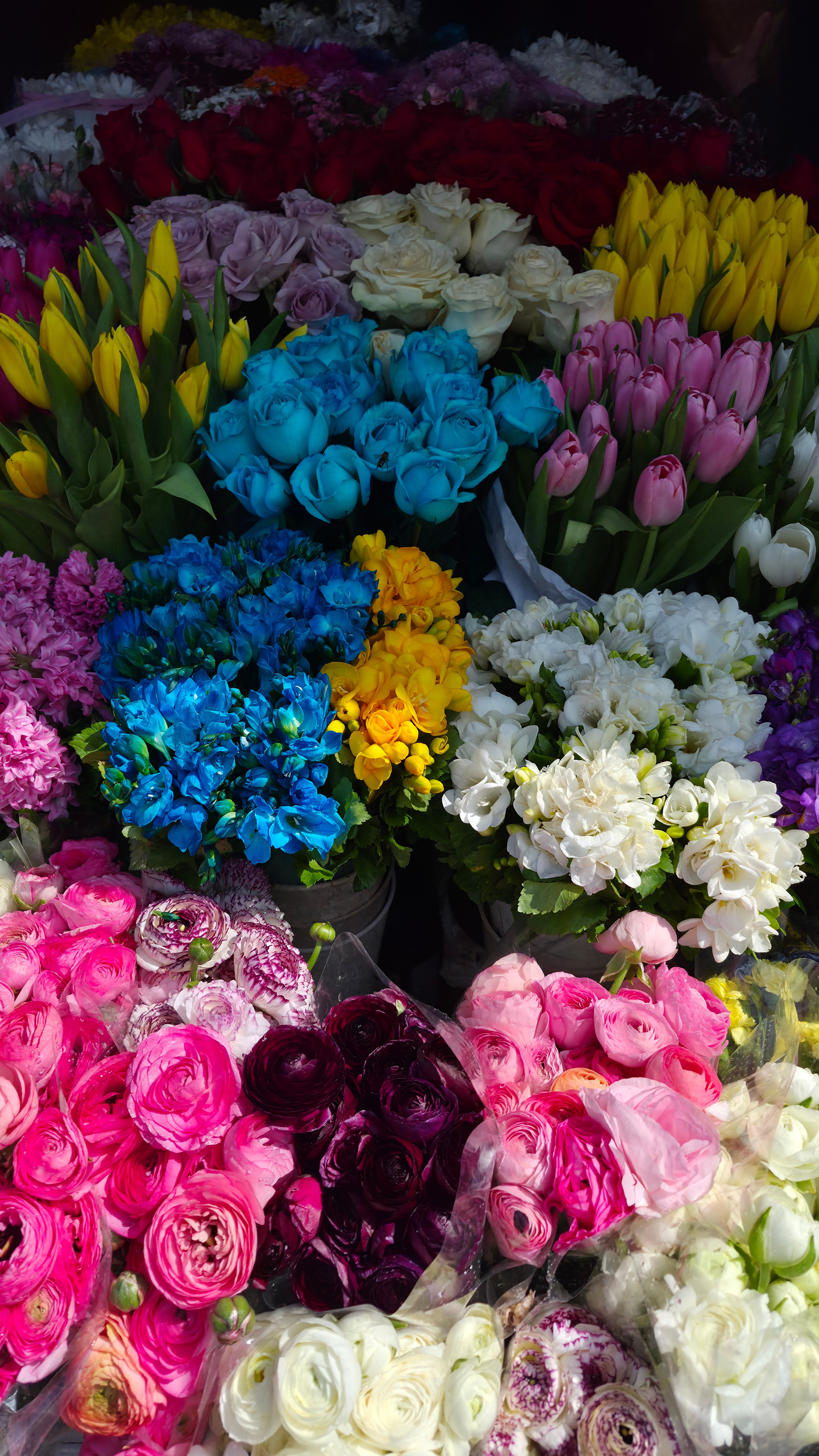 [ColoSach]-vibrant-flower-display-featuring-roses,-tulips,-and-ranunculus-at-istanbul-market.