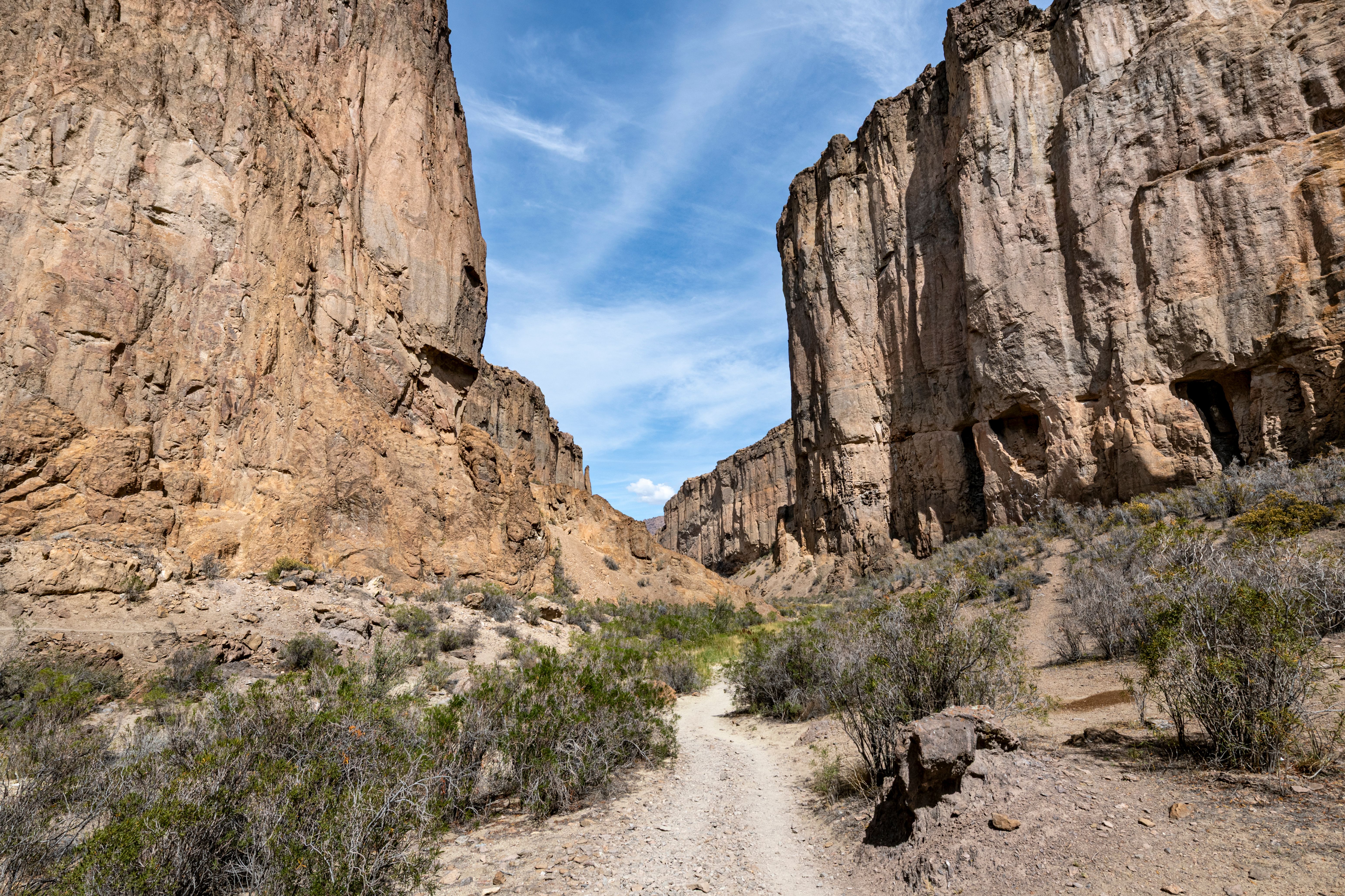 Fall foliage along McKittrick Canyon in Guadalupe Mountains National Park