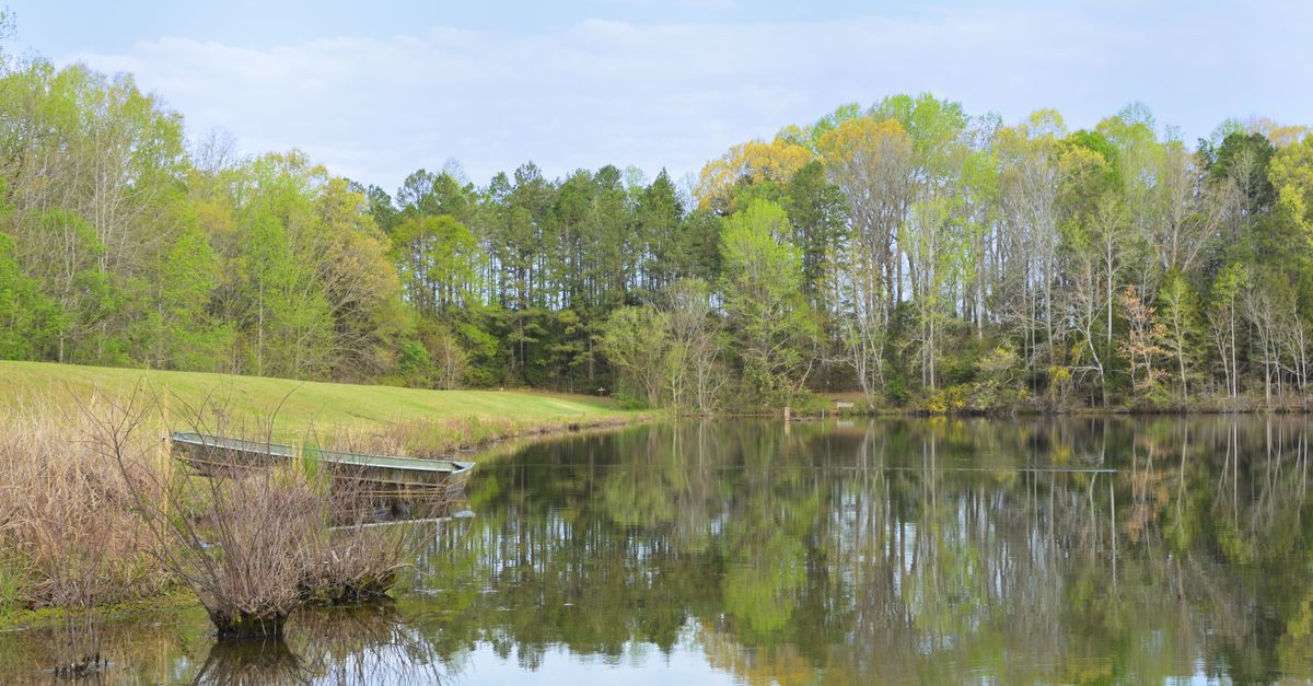 Peaceful spring lake with lush greenery reflecting in calm waters at Lancaster, South Carolina.