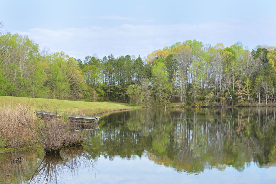 Custom Website Design Lake Jackson Texas | marketdesignteam.com custom website design Lake Jackson Texas