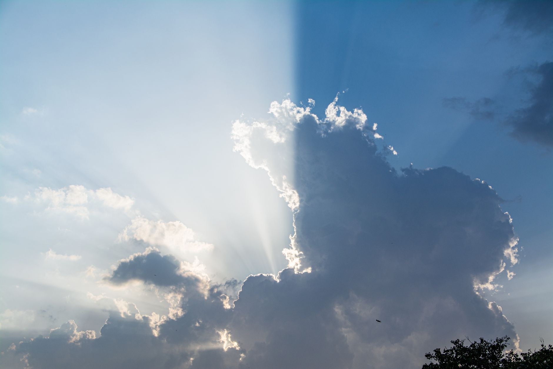 AWS vs Azure vs Google Cloud: Which Should You Choose