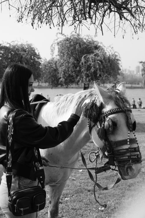 Free A young woman gently pats a horse in a tranquil outdoor park setting. Black and white image. Stock Photo