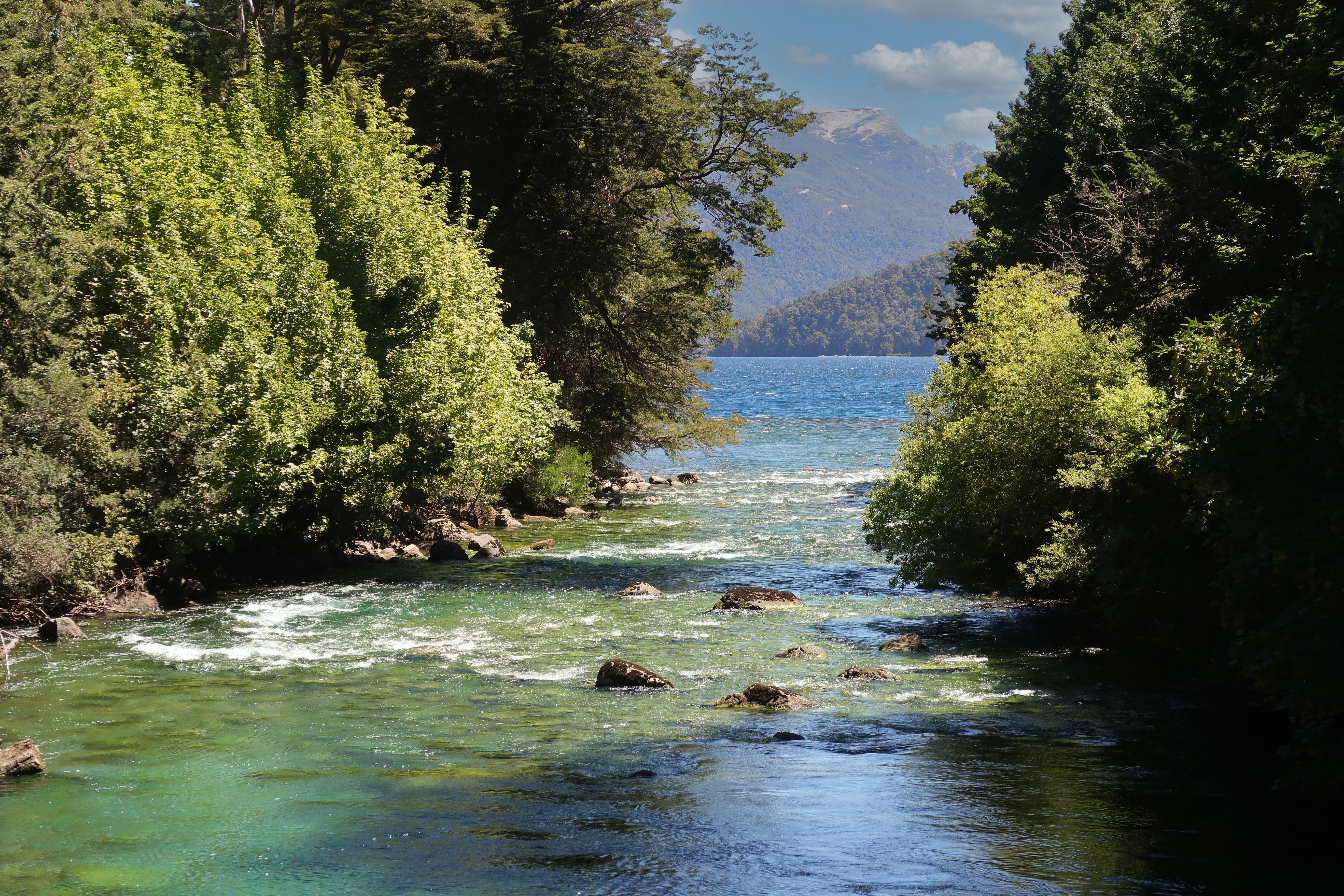 Breathtaking view of a serene river flowing through lush forests in Bariloche, Argentina.