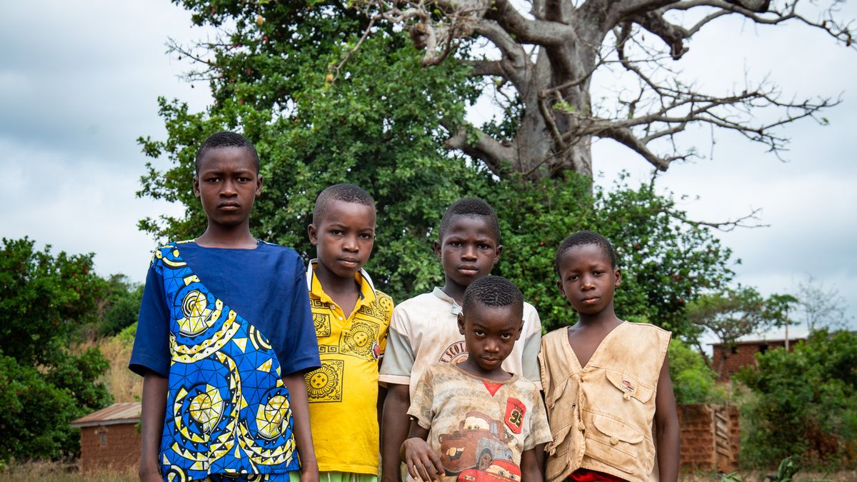 Voyager en famille à Madagascar : 5 activités inoubliables - illustration