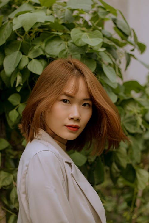 Безкоштовне стокове фото на тему «азіатська жінка, вродлива, листя дерев»