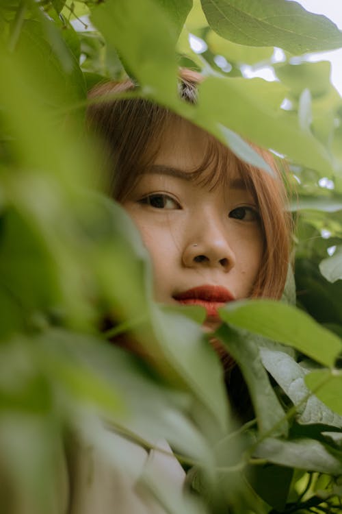 Ingyenes stockfotó ázsiai nő, gyárak, levelek témában