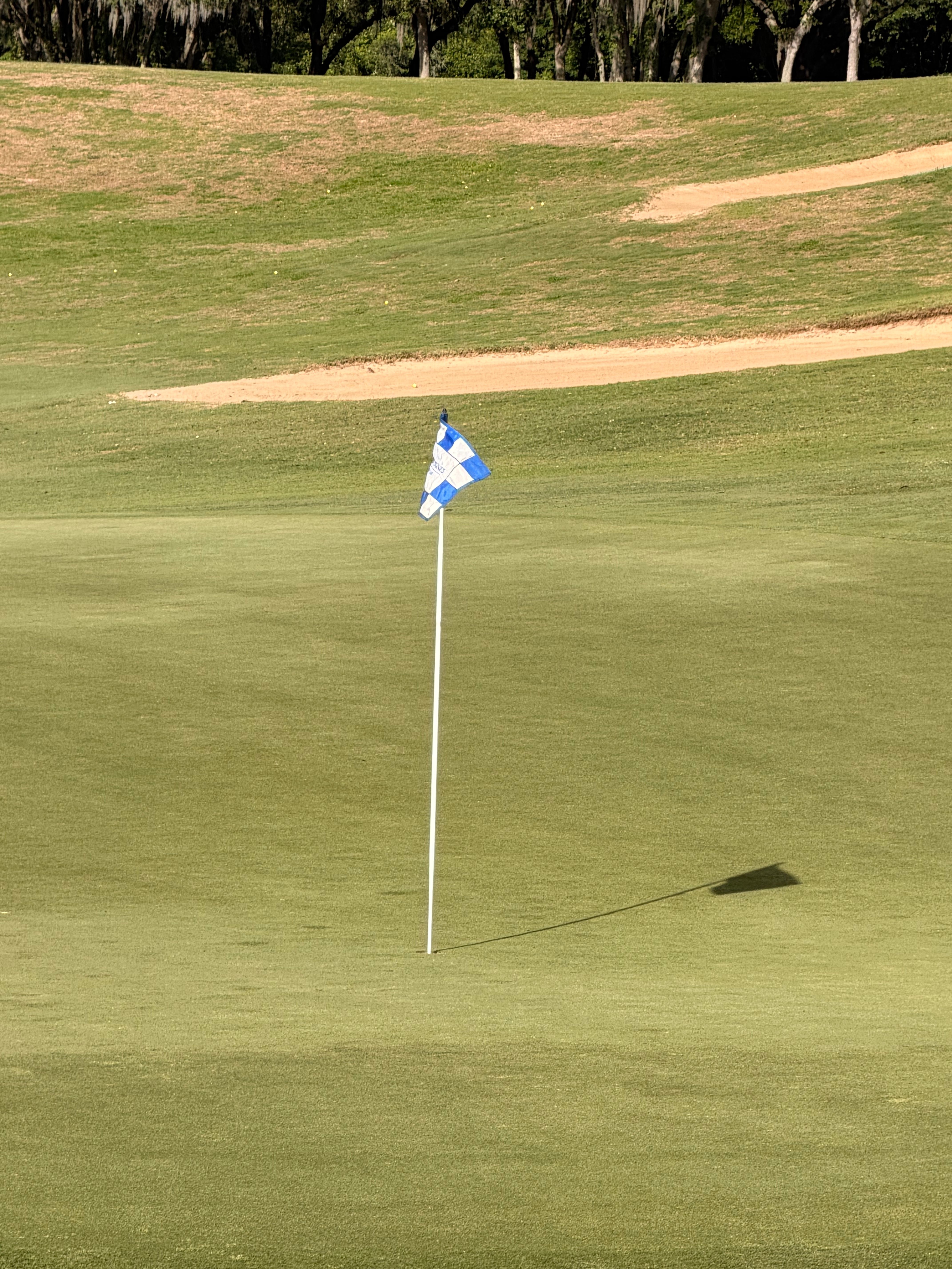 A tranquil image of a golf course featuring a checkered flag, set in the green landscape of Celebration, Florida.
