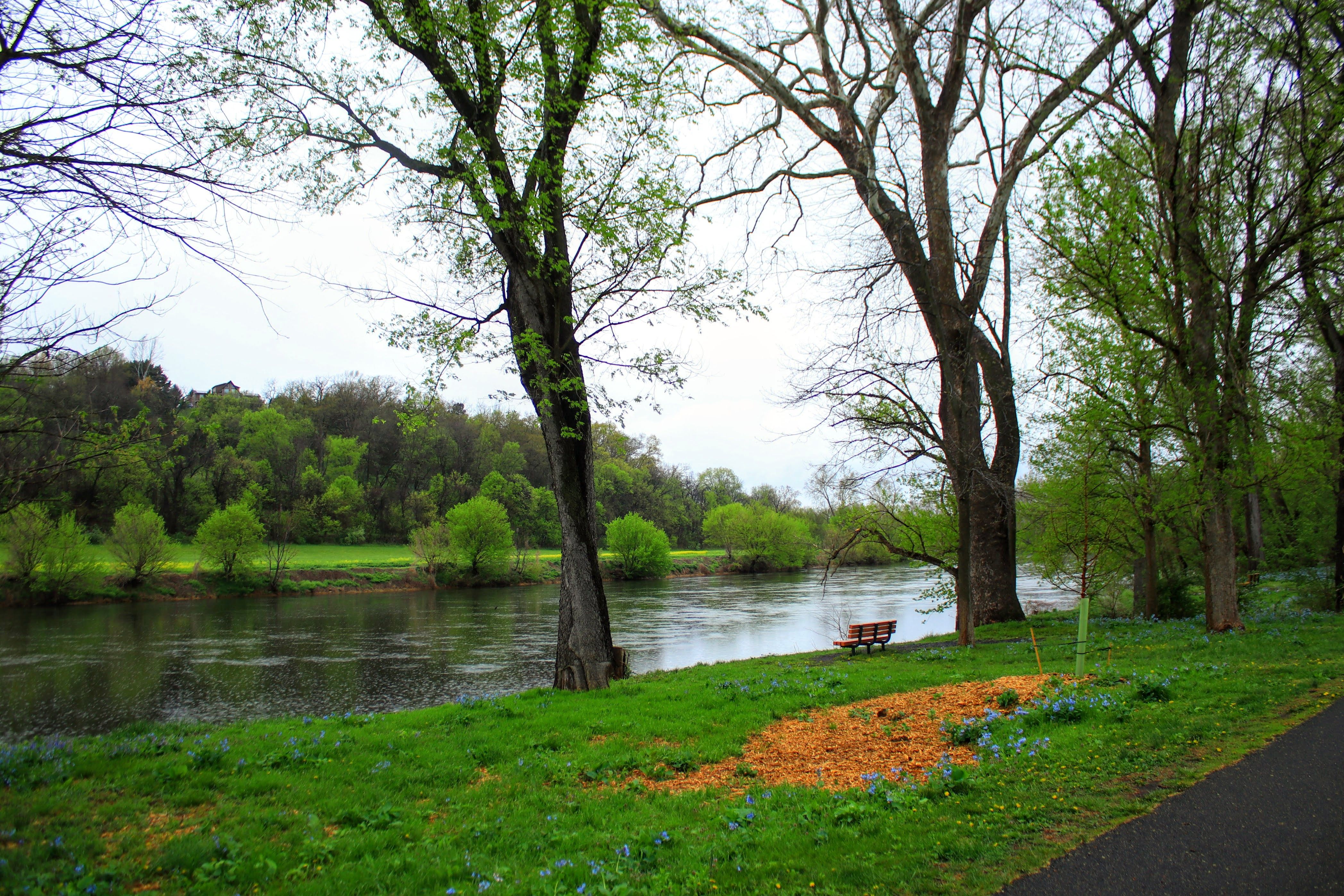 things to do in laurel md