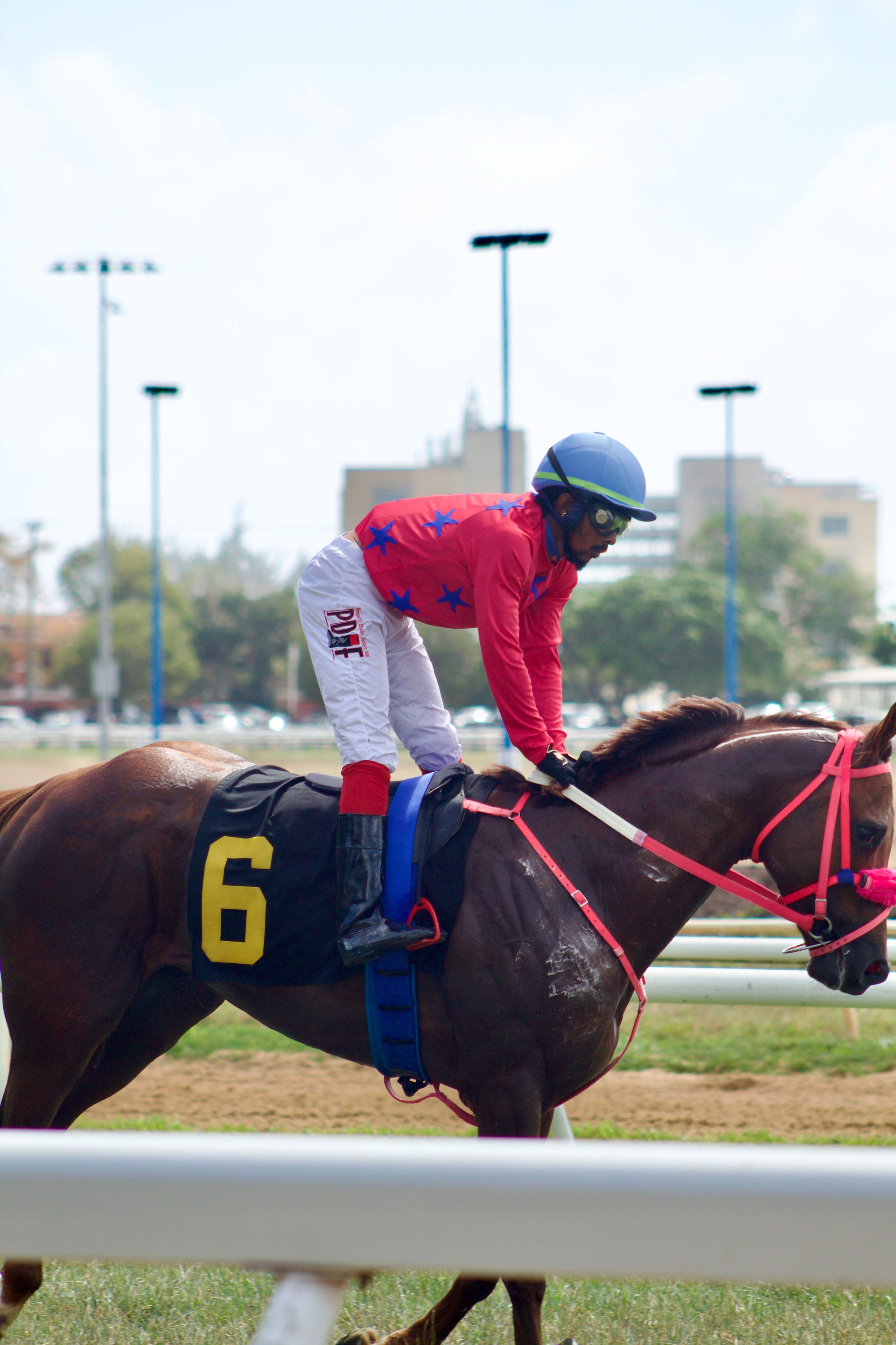 Golden Tempo and Jose Ortiz Kentucky Derby analysis represented by a jockey guiding a racehorse on a sunny track
