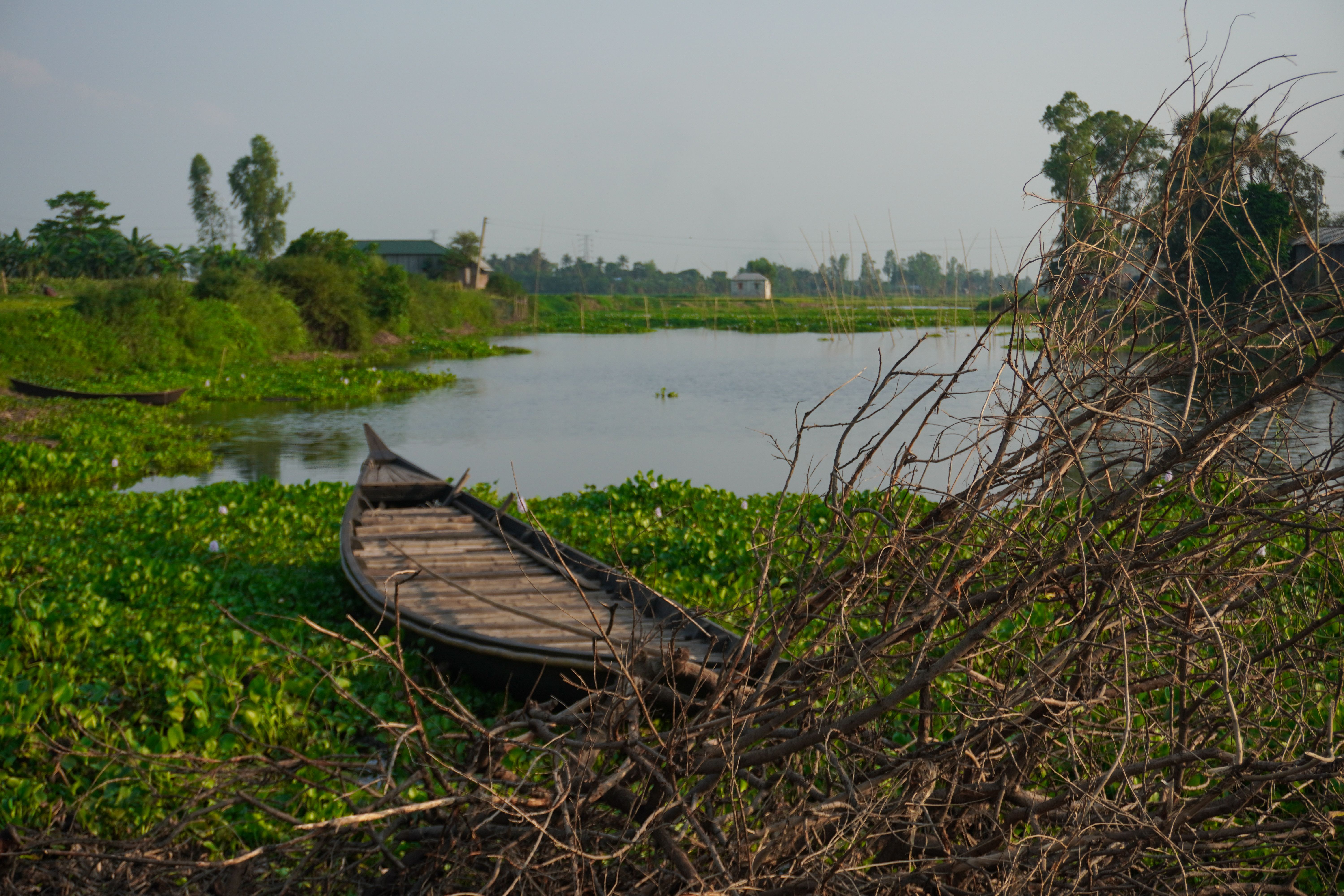 Free A quiet lakeside view with a wooden boat and abundant greenery, evoking tranquility. Stock Photo