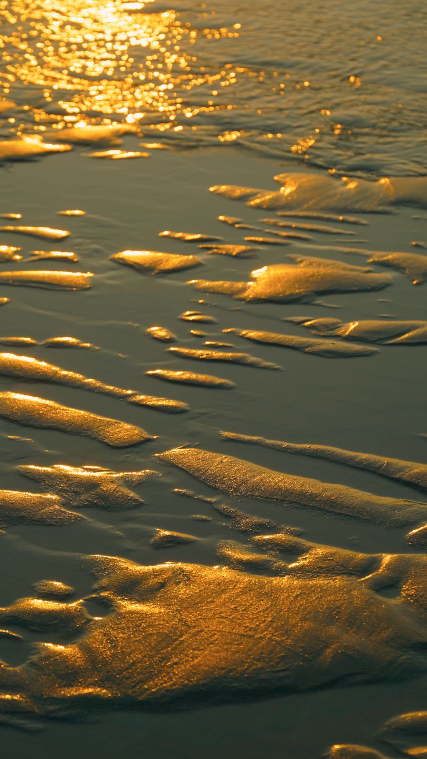 Golden Sunset Reflection on Rippling Water · Free Stock Photo