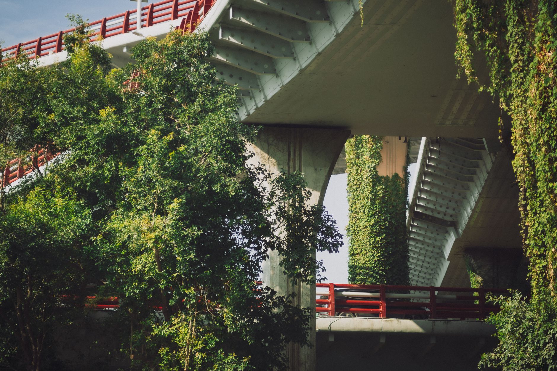 When Infrastructure Meets Community: Lessons in Responsible Growth