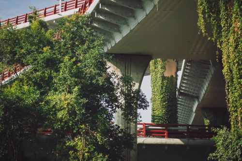 Free A scenic view of an urban overpass intertwined with lush greenery under daylight. Stock Photo