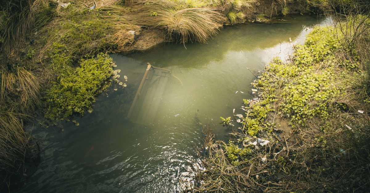 A car submerged in a small rural creek surrounded by green vegetation.