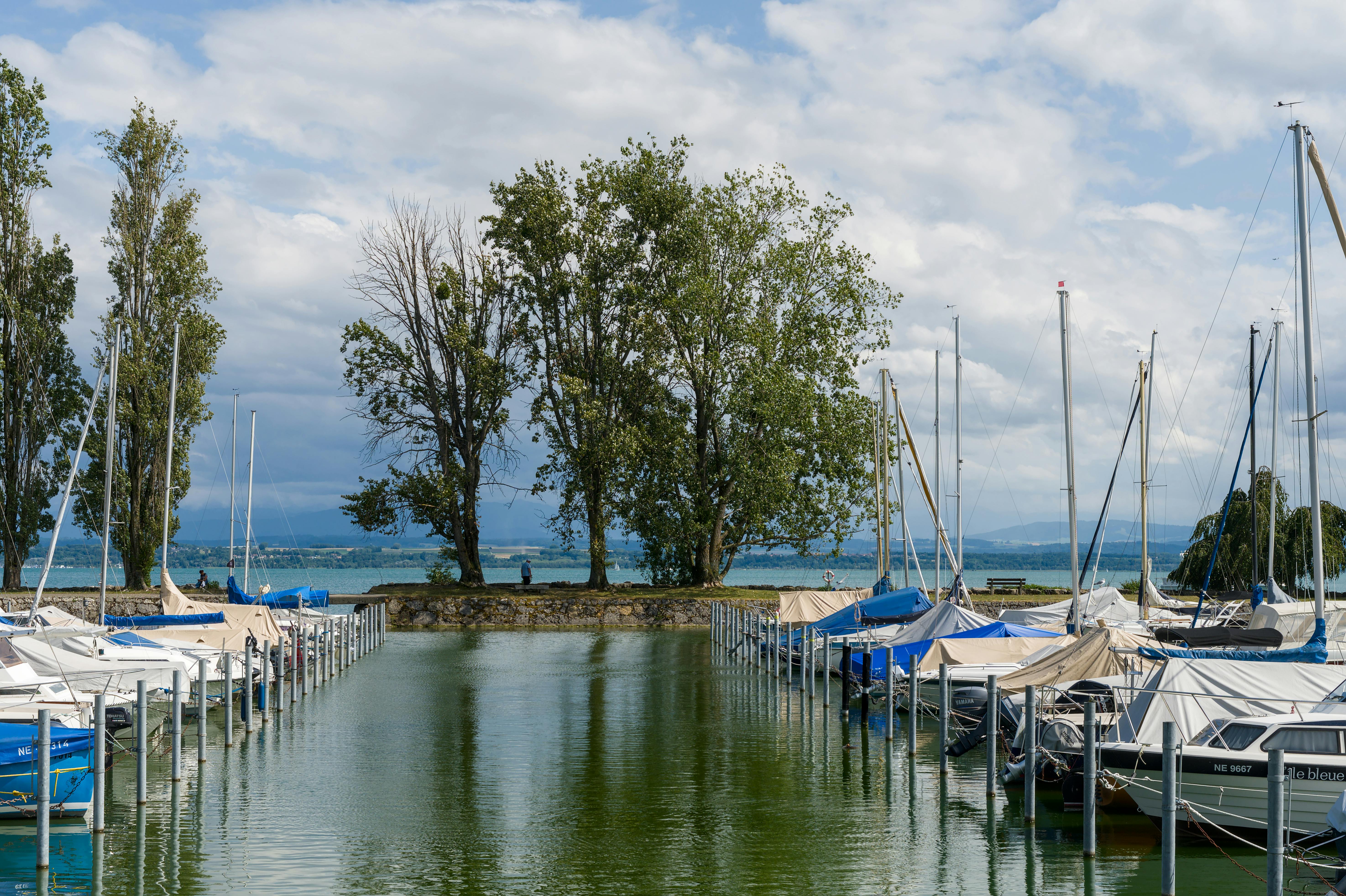 Sea-Level Rise and the Role of Geneva — Photo by Jean-Paul Wettstein on Pexels