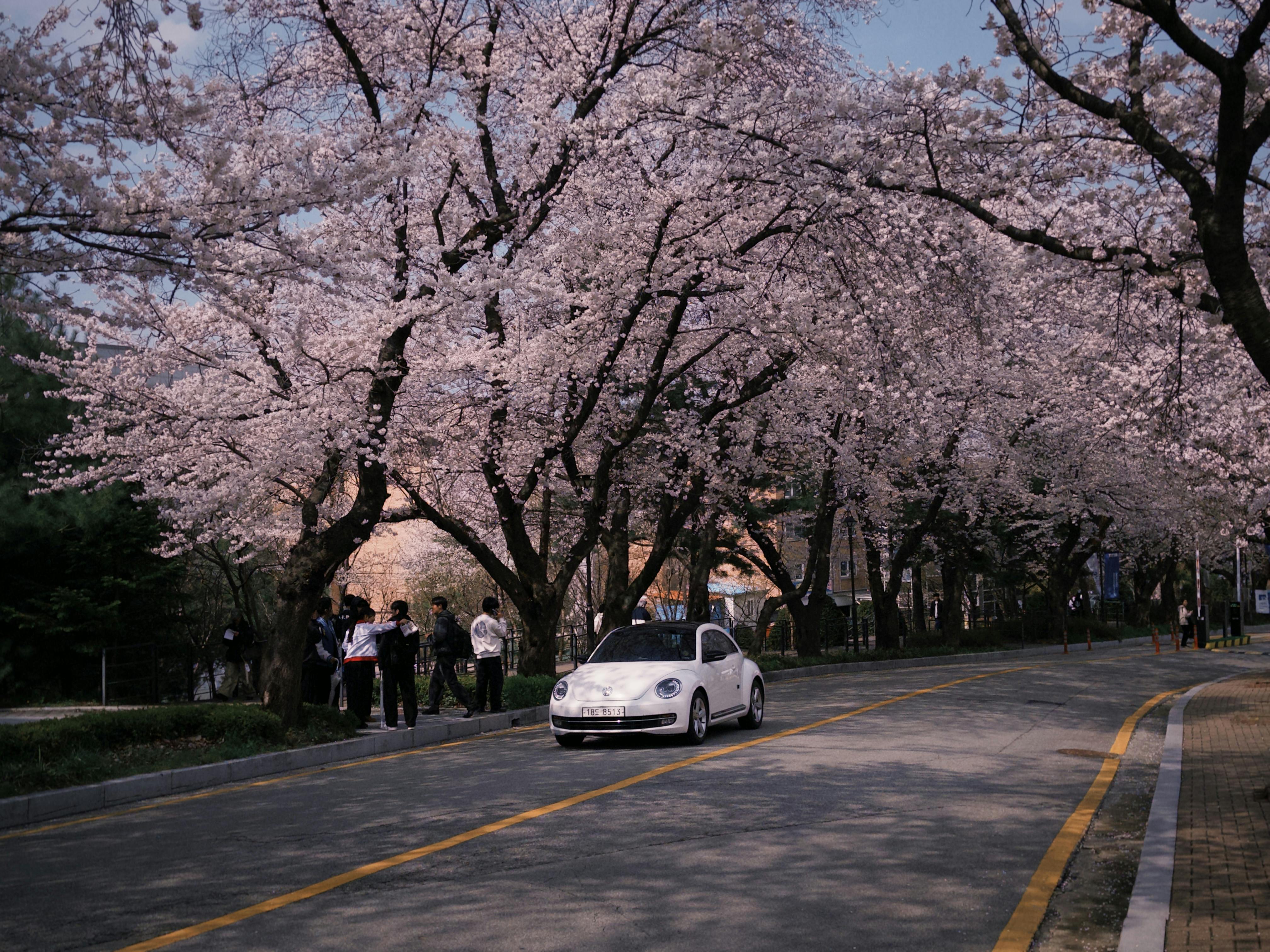 2026년, 직접 달려보니 인생 드라이브 코스 단 3곳뿐