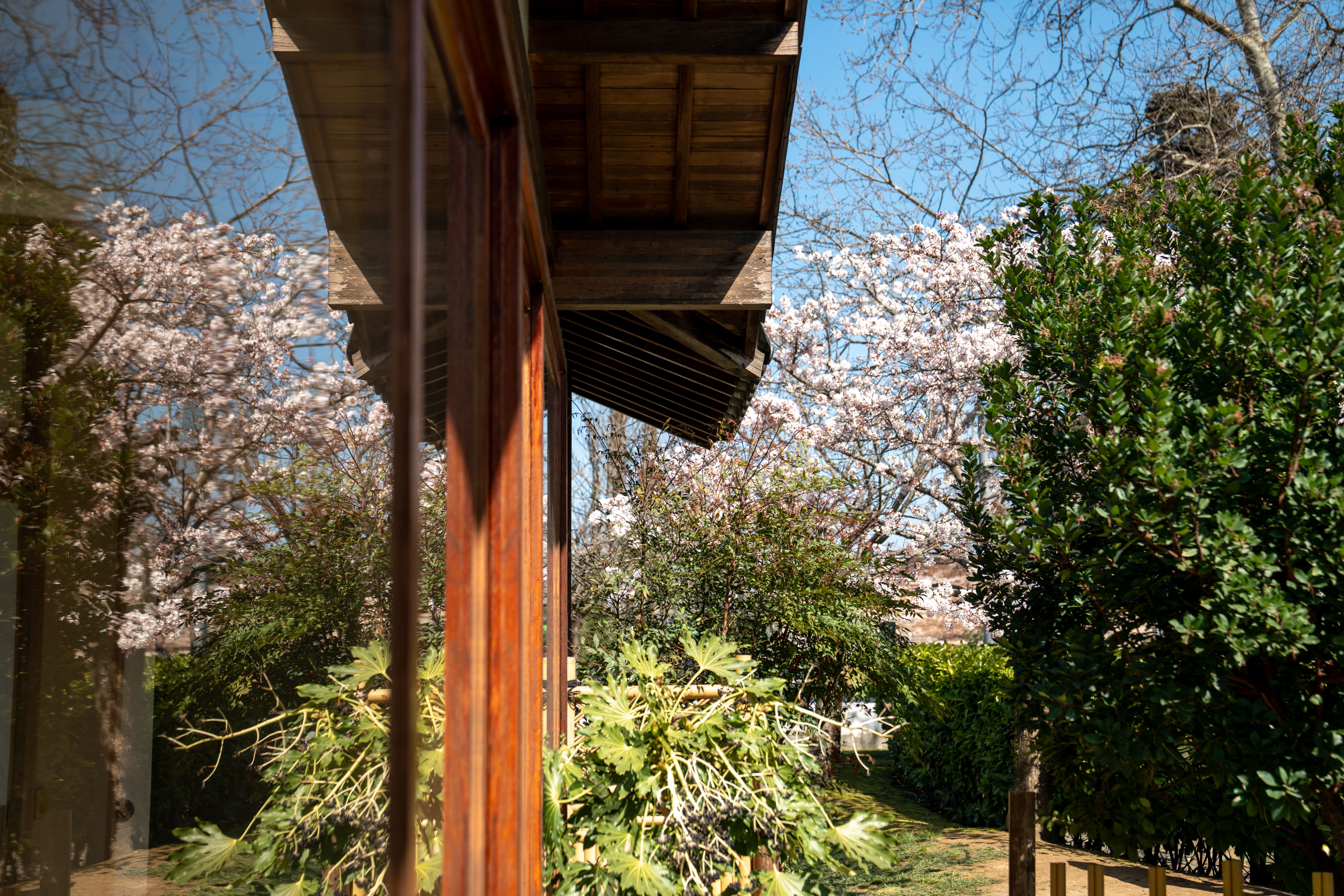 Fence and Decking Painting in Kew — a freshly painted, spotless finish
