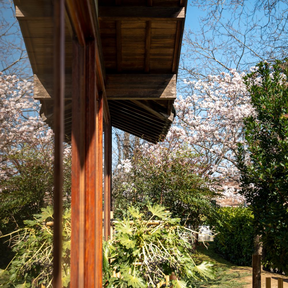 Fence and Decking Painting in West Green — surfaces prepped and cut in by hand