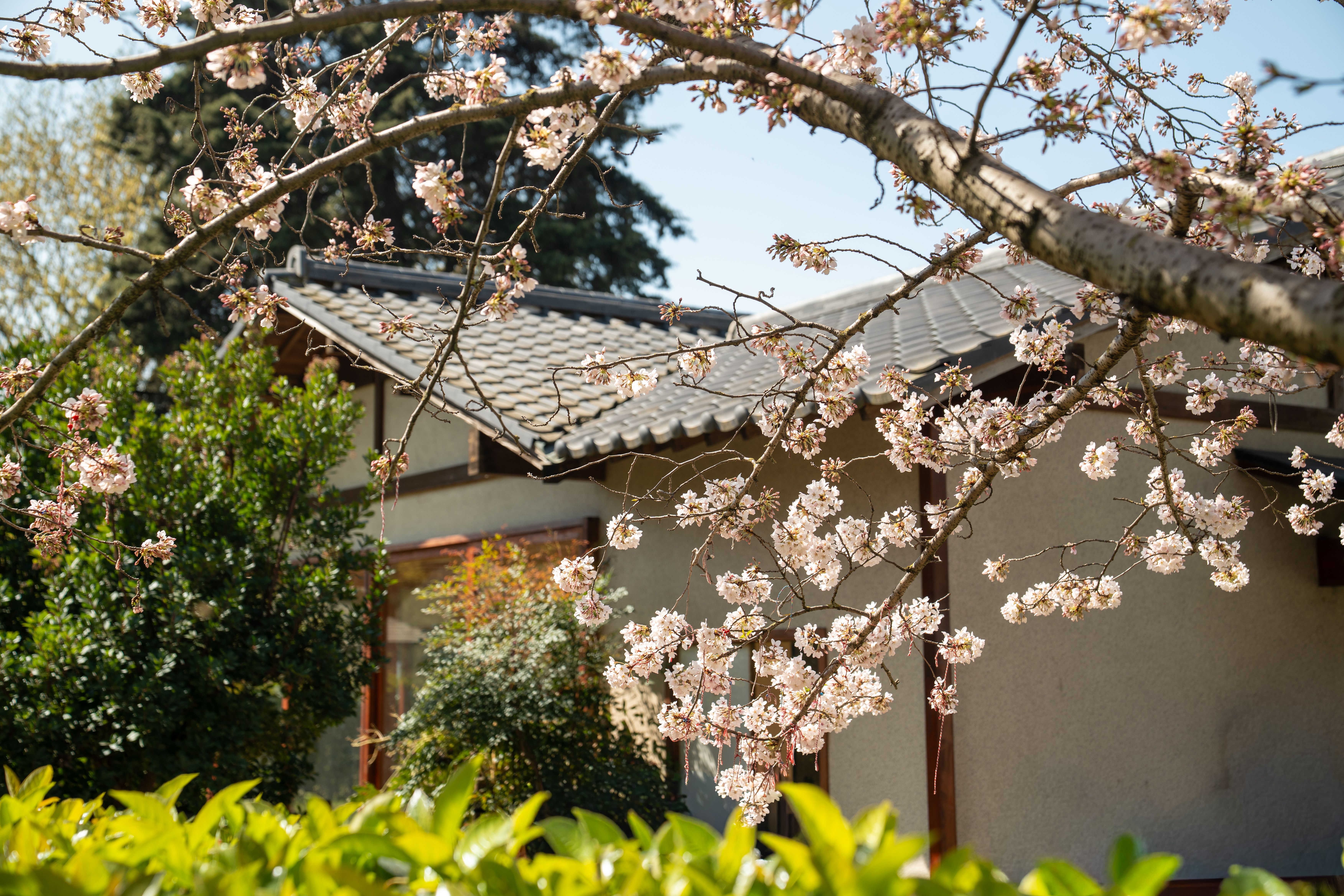 stagione primavera casa giardino sole
