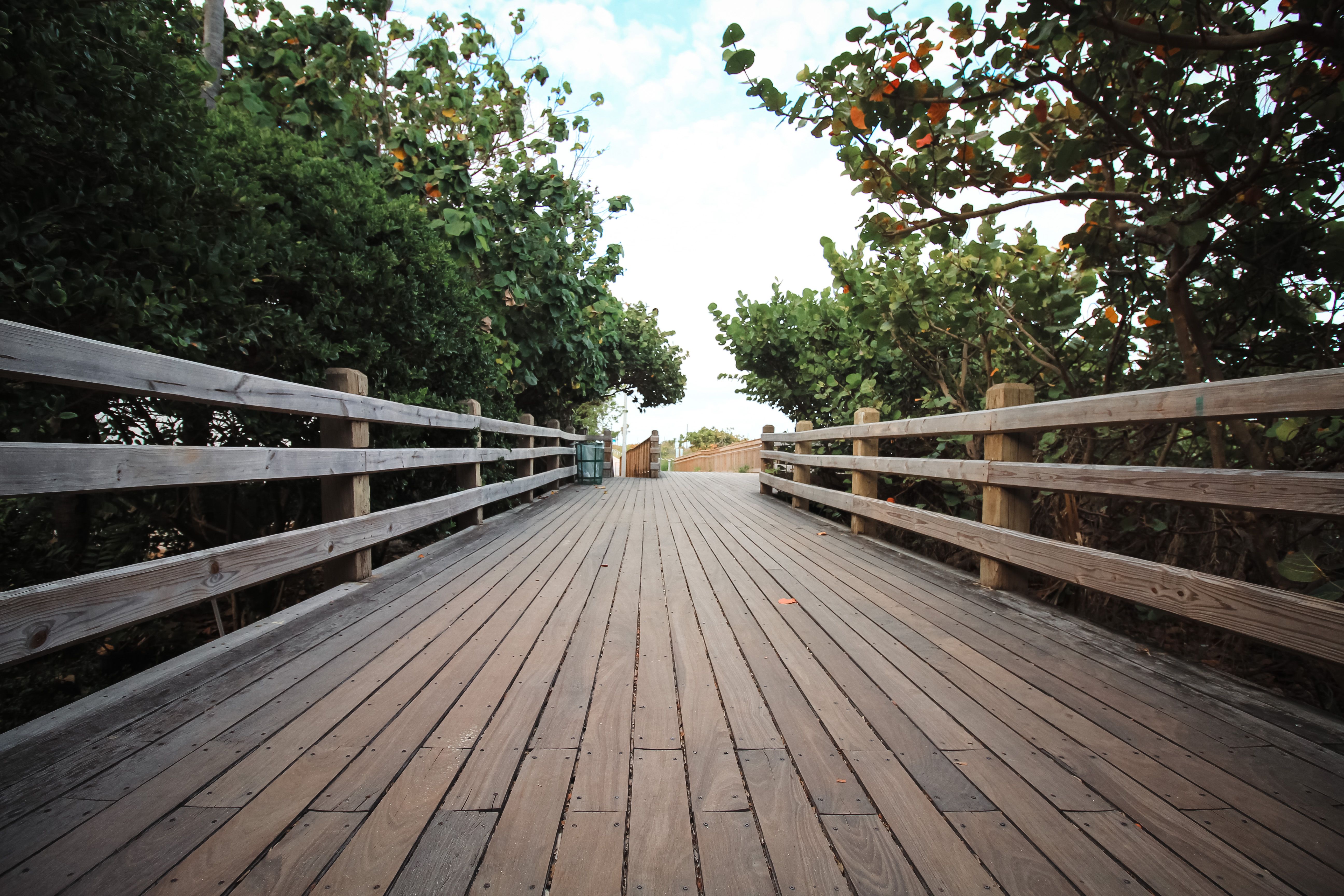 A scenic wooden boardwalk extends through vibrant green foliage in Miami, Florida.