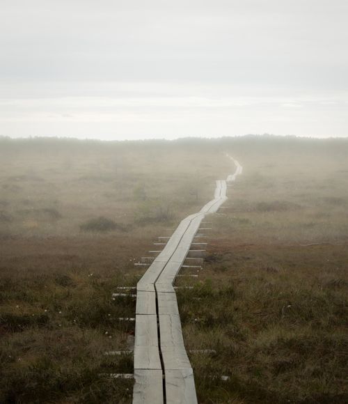 Free Tranquil boardwalk through misty Rannametsa bog in autumn, capturing the ethereal beauty of Estonia's countryside. Stock Photo