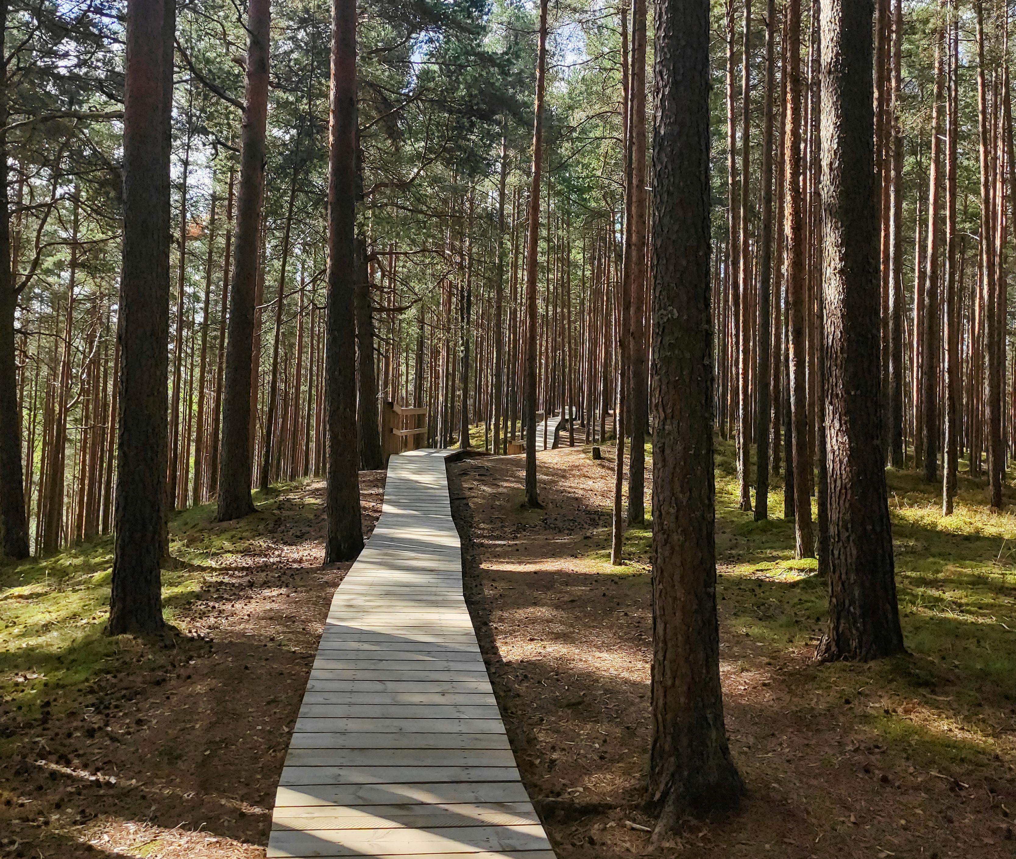 Smyrna’s Outdoor Adventure Center ignites learning and imagination — Photo by Margo Evardson on Pexels