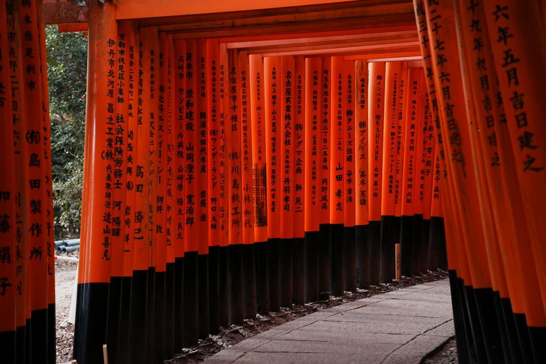 Fushimi Inari Taisha Torii Gates in Kyoto · Free Stock Photo