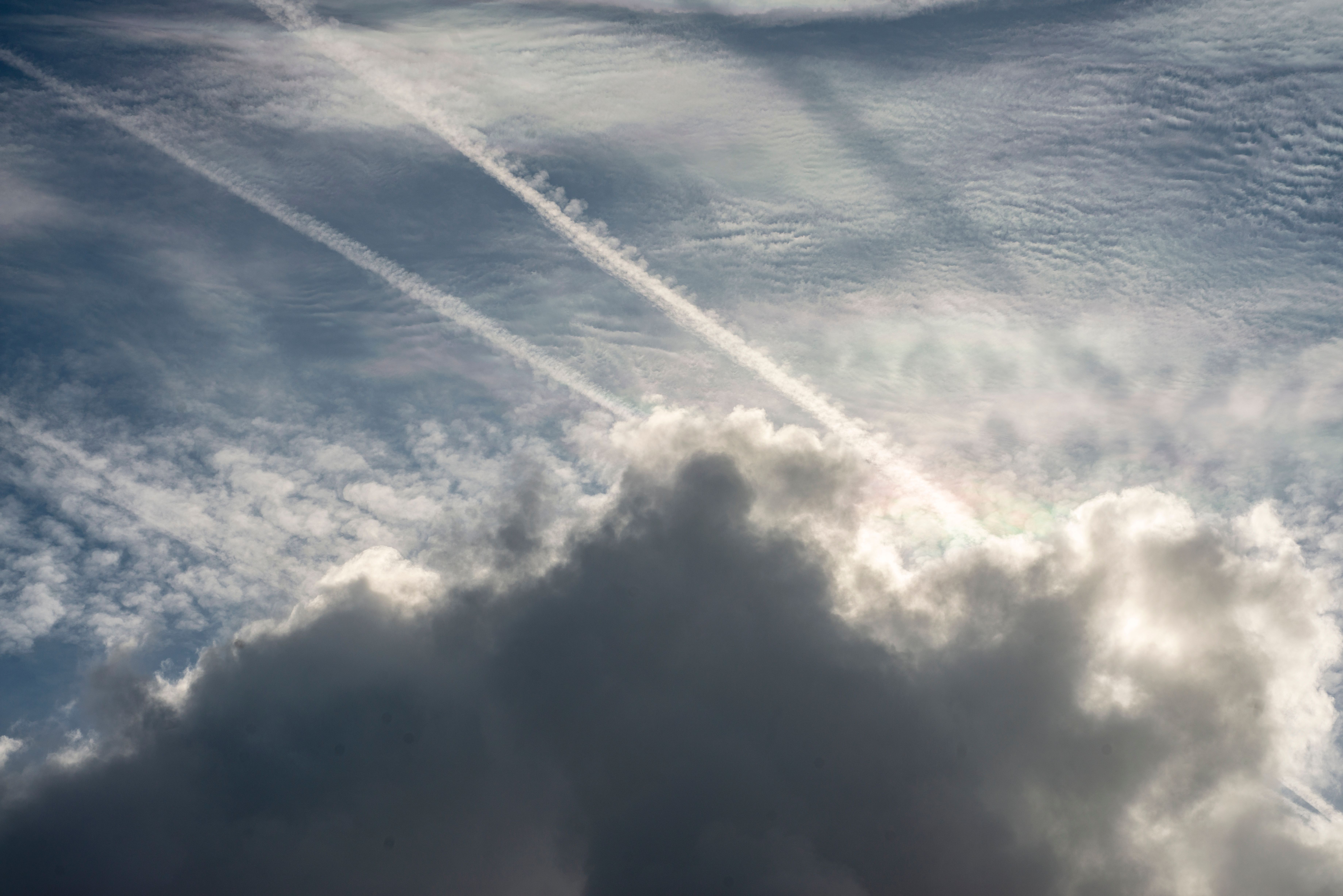 Foto: Garden Photography / Pexels