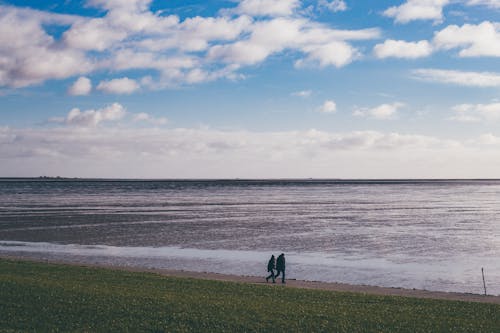 People Walking on Green Grass Field Near Sea Under Blue and White Cloudy Sky