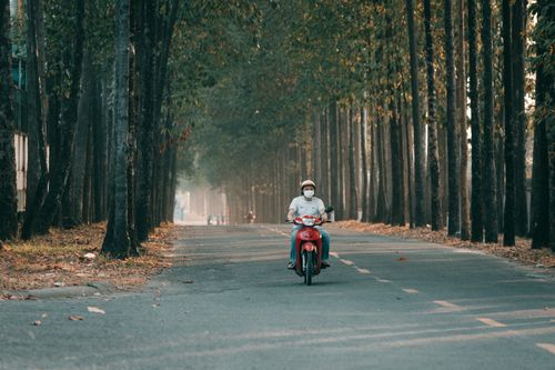 Free A person wearing a mask rides a red scooter on a peaceful, tree-lined road. Stock Photo
