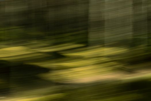 Dynamic abstract image of a forest with motion blur, highlighting green hues and natural light patterns.
