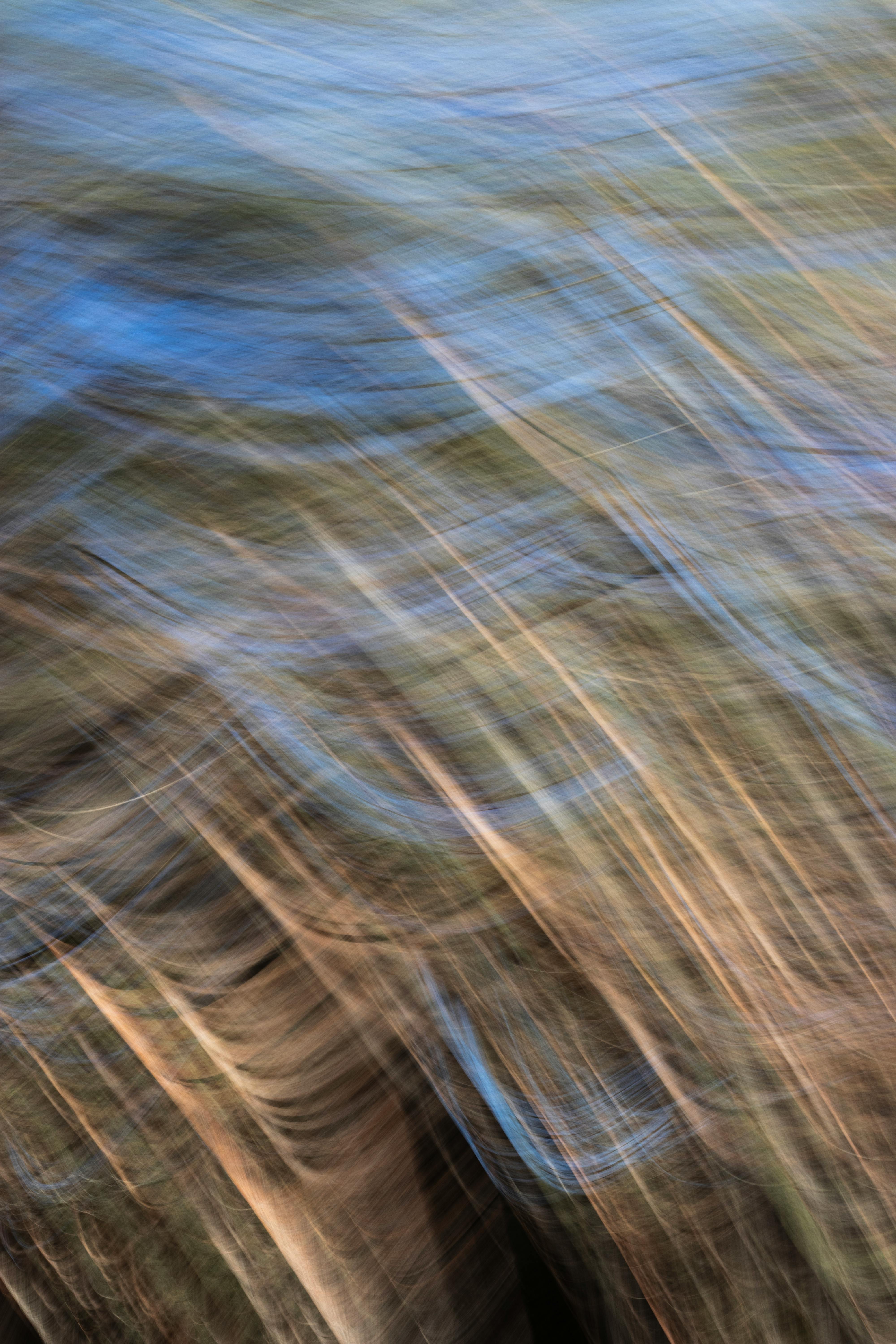Dynamic motion blur effect of a forest scene creating an abstract and artistic visual.