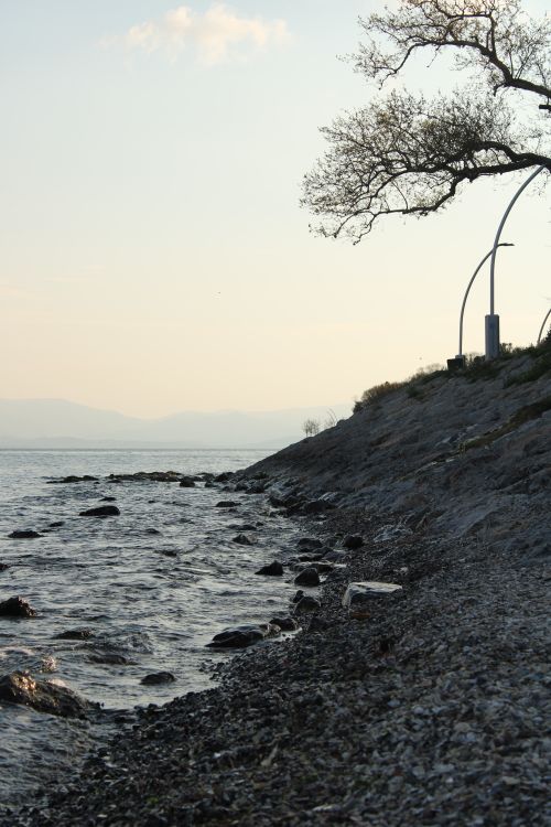 Free Tranquil lakeside view with rocky shore and tree at dusk, perfect for backgrounds. Stock Photo