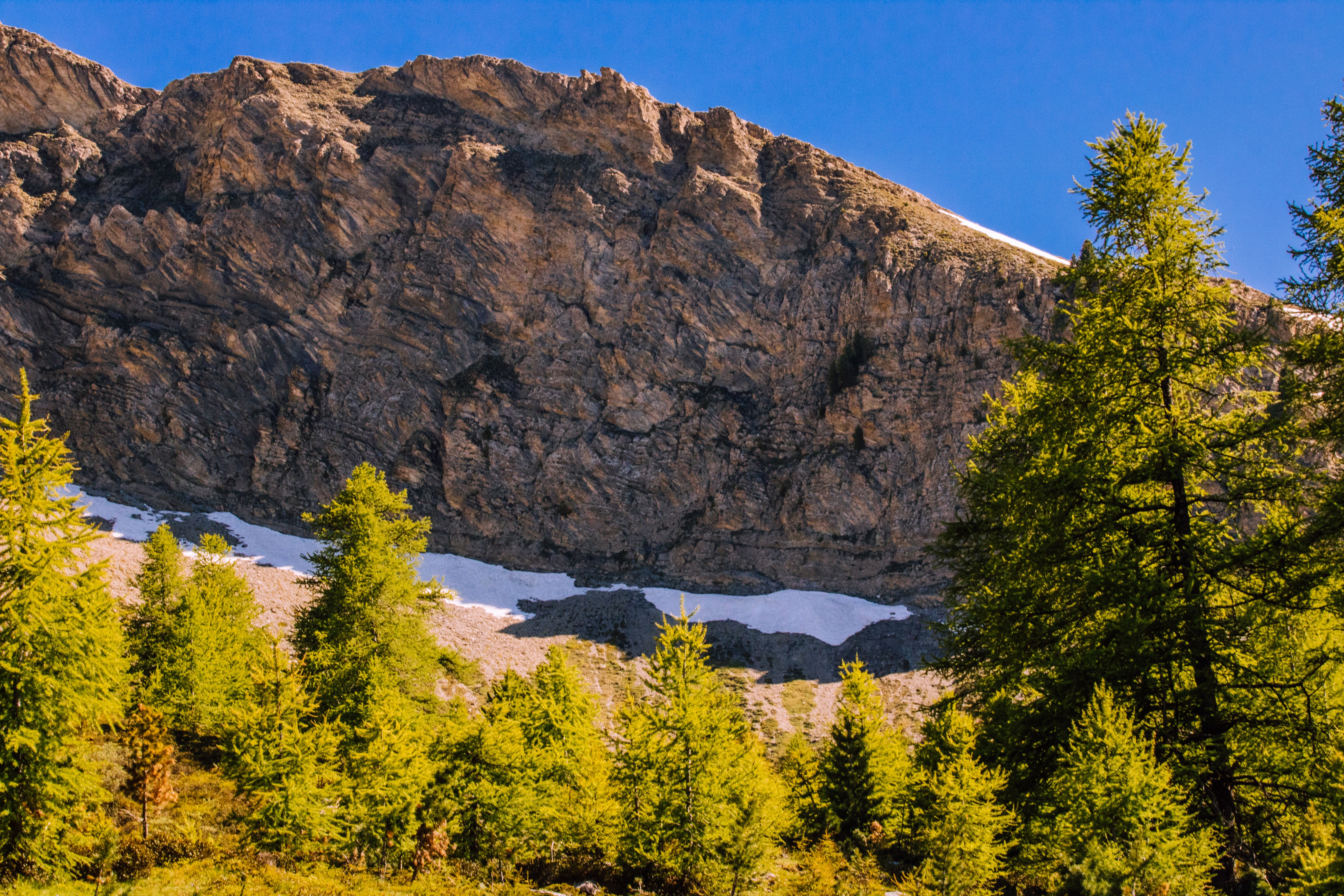 Réserve Naturelle de Contamines-Montjoie
