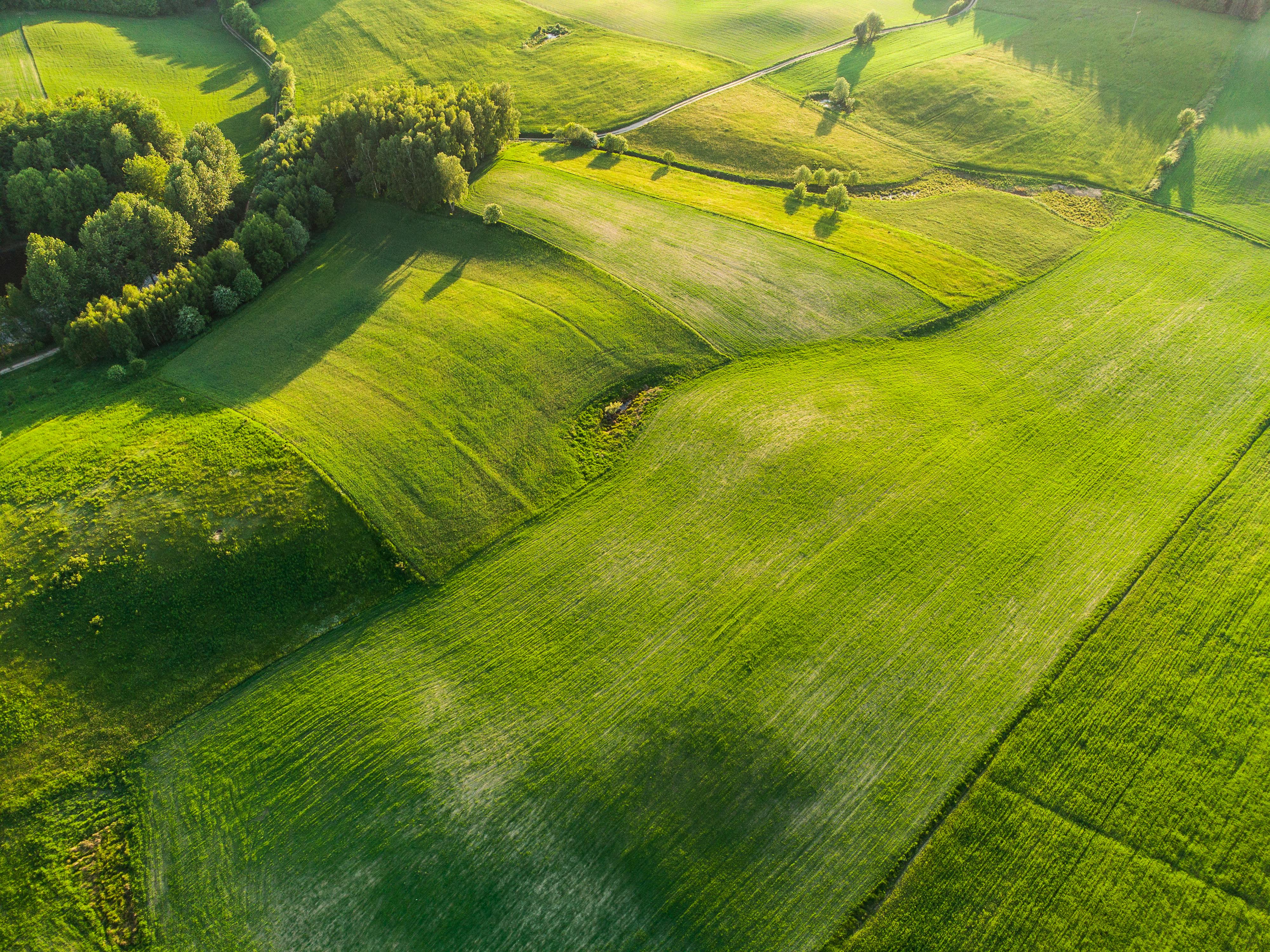 corporate governance esg good governance esg — Photo by Dawid Zawiła on Pexels