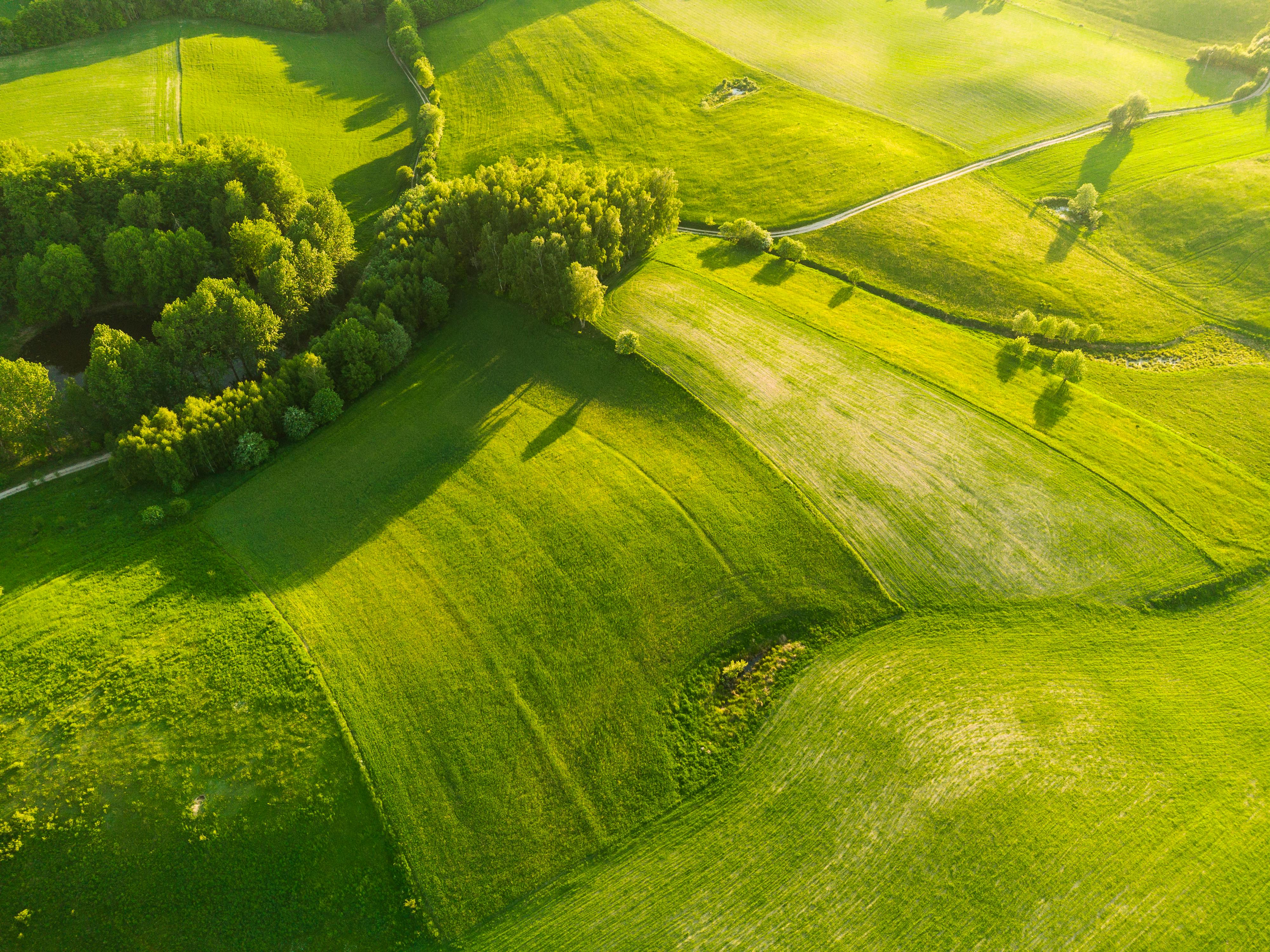 corporate governance esg governance in esg meaning — Photo by Dawid Zawiła on Pexels