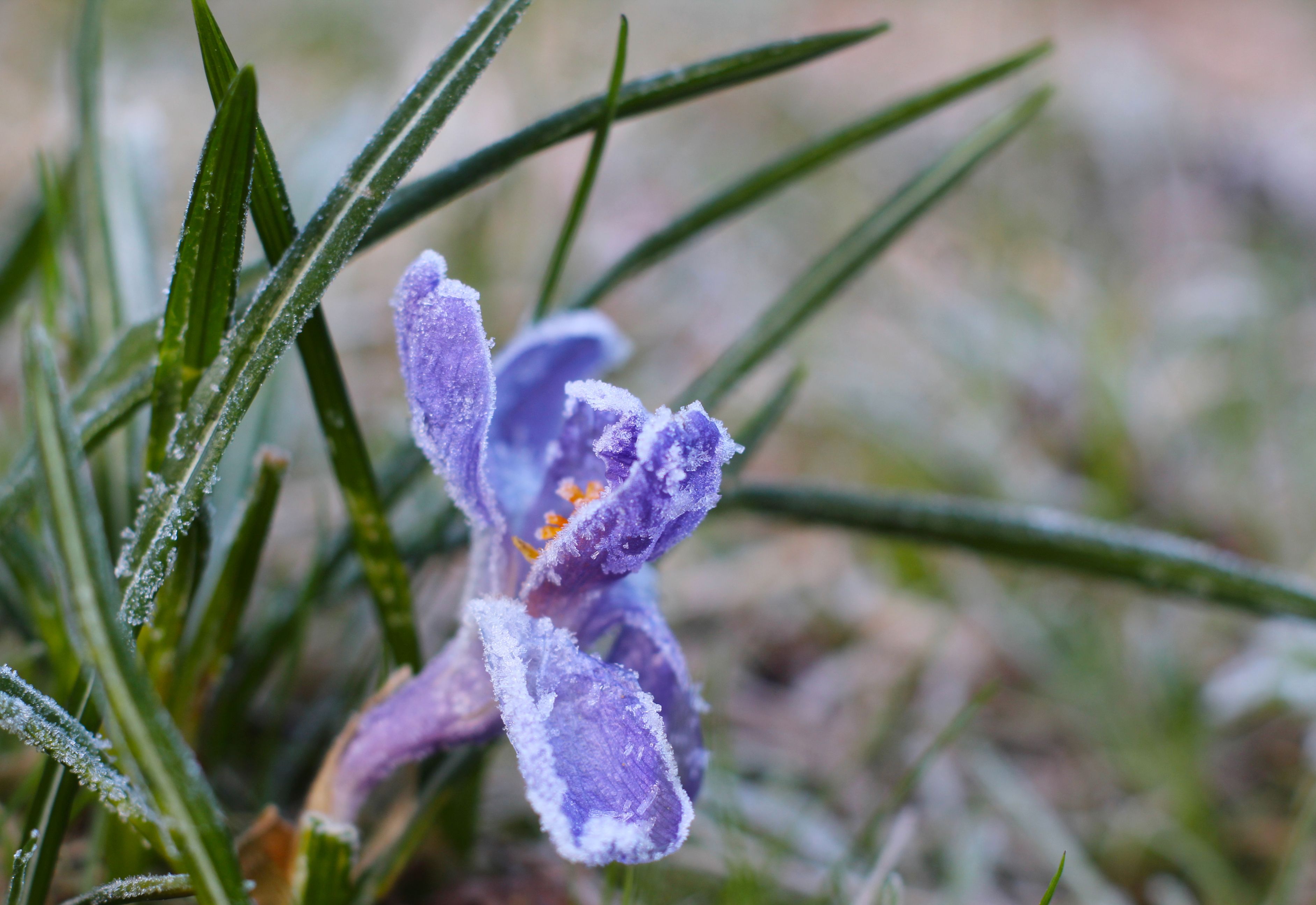 Gardmaeasfeb7 2