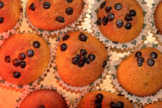 Close-up of freshly baked chocolate chip muffins in paper liners, top view.