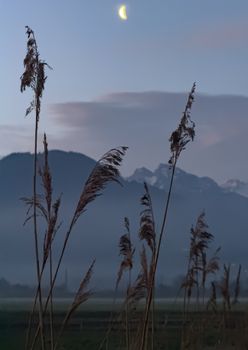 Peaceful evening landscape in Schwyz, featuring crescent moon and misty mountains.