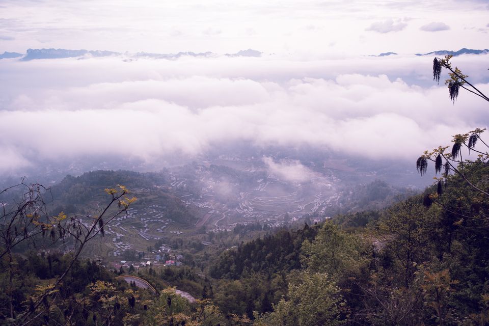 Mist rolling through the Caldera valley on a typical Boquete morning