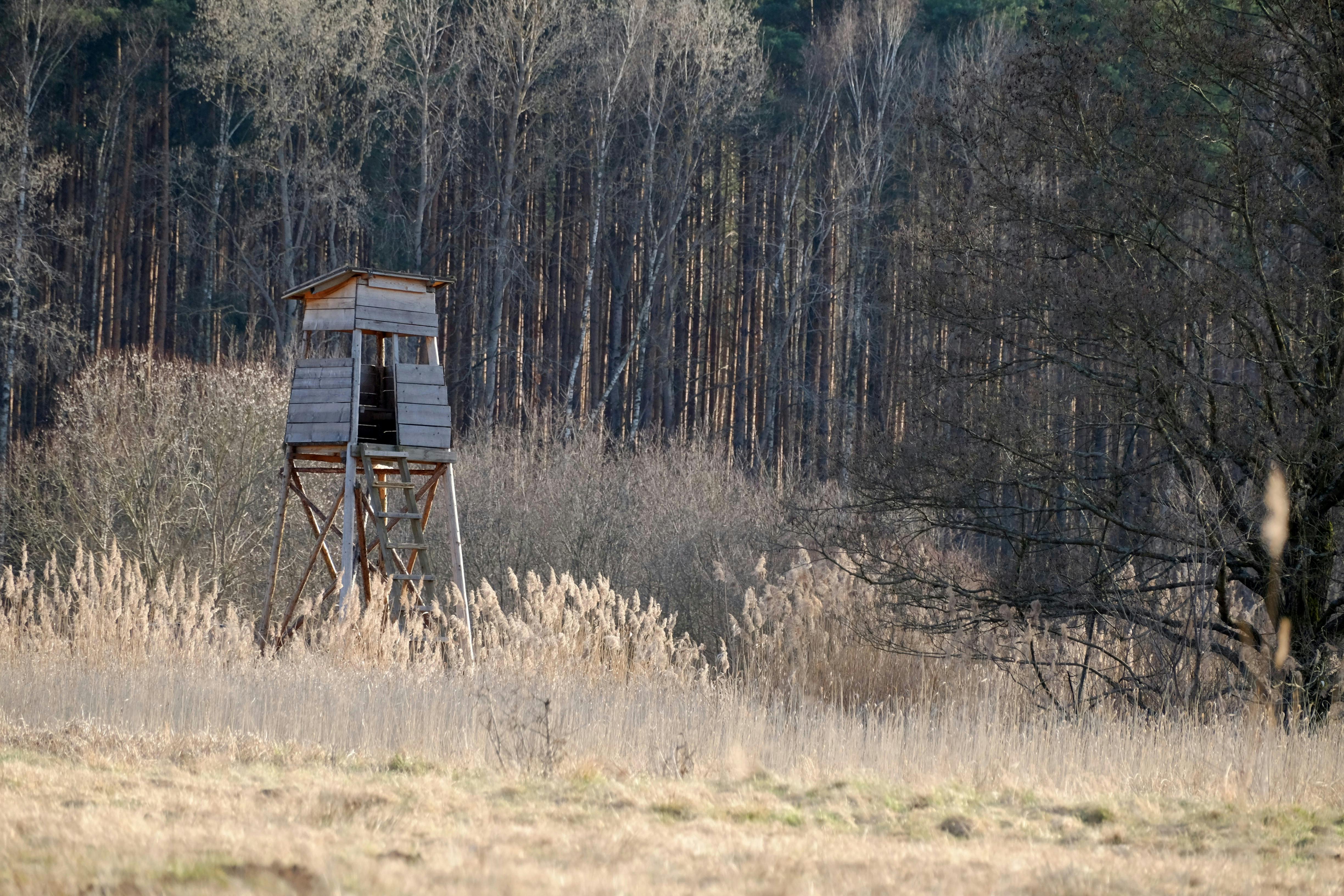 Hunting &amp; Outdoor Adventure Show at QCCA Expo Center, Rock Island, Feb. 12-15 — Photo by Roman Biernacki on Pexels