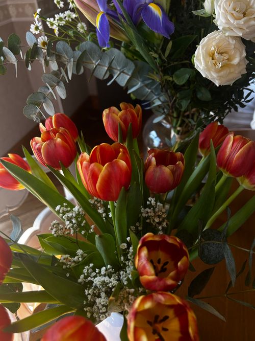 Free A colorful floral arrangement featuring red tulips and white roses in an indoor setting. Stock Photo
