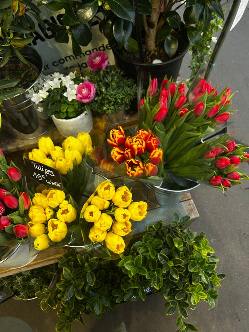 Free Fresh tulips in various colors beautifully arranged in a Paris flower market. Stock Photo