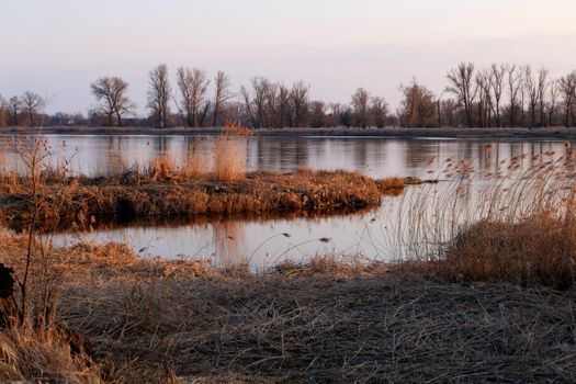 A tranquil river scene with bare trees and golden reeds in the soft evening light, creating a peaceful atmosphere.