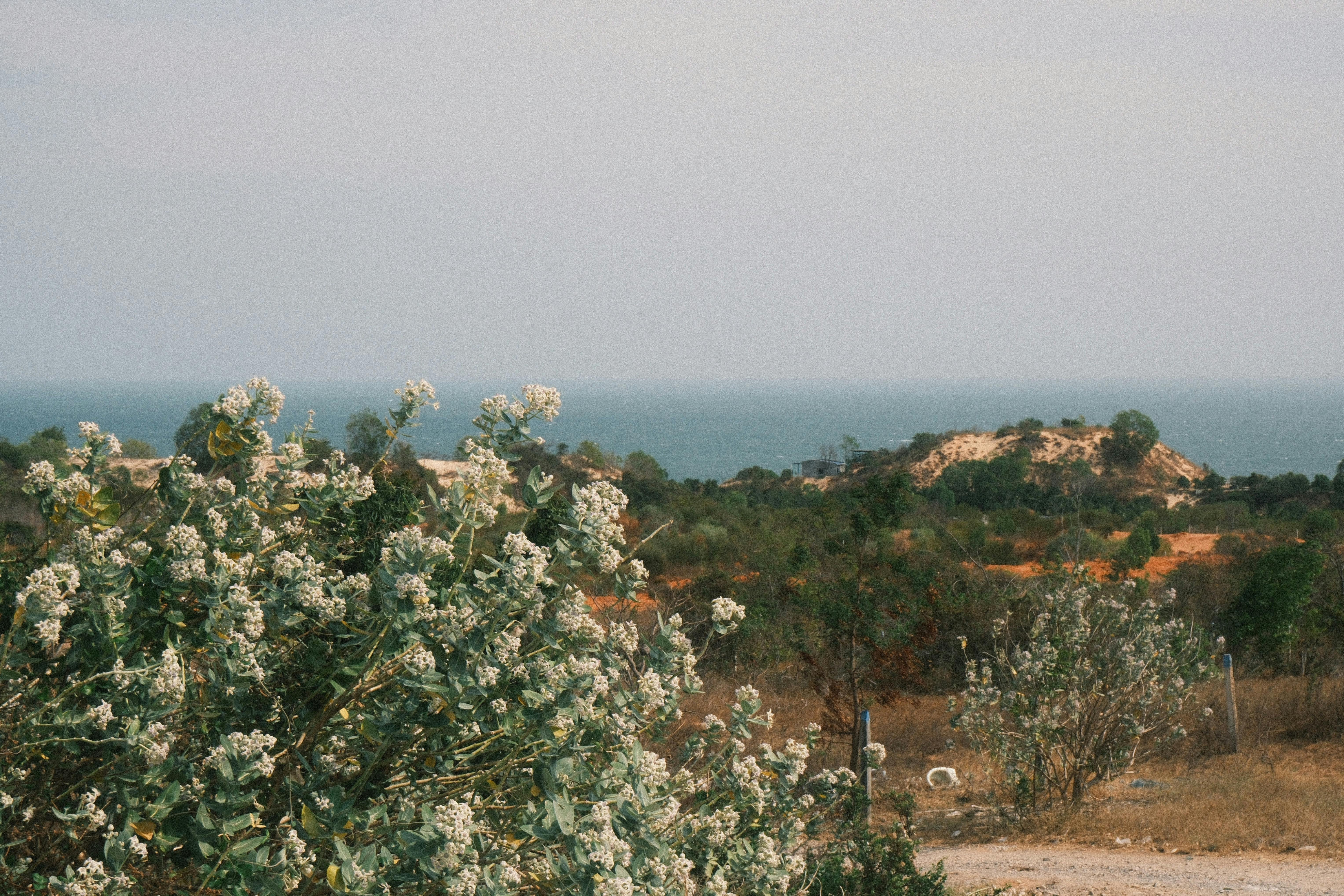 A More Troubling Picture of Sea Level Rise Is Coming into View — Photo by Ngoc Nguyen on Pexels