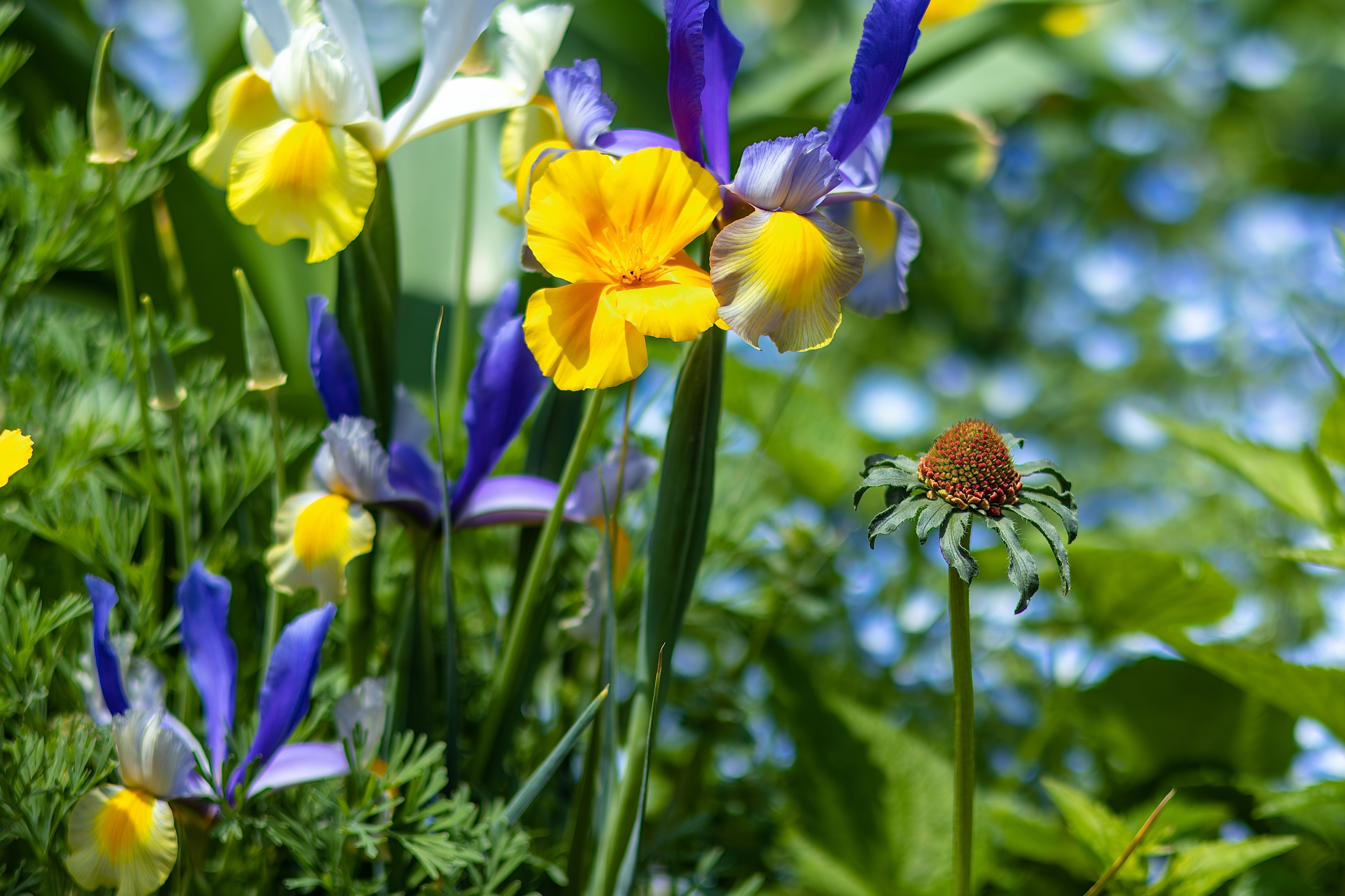 Guide Pratique pour Cultiver des Légumes au Printemps