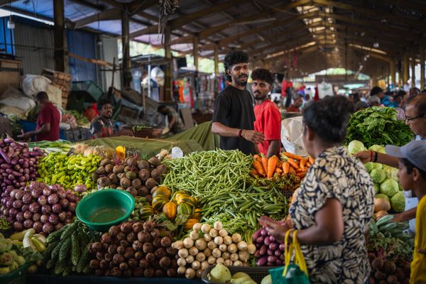 Local Markets in South Sri Lanka: A Pola Guide