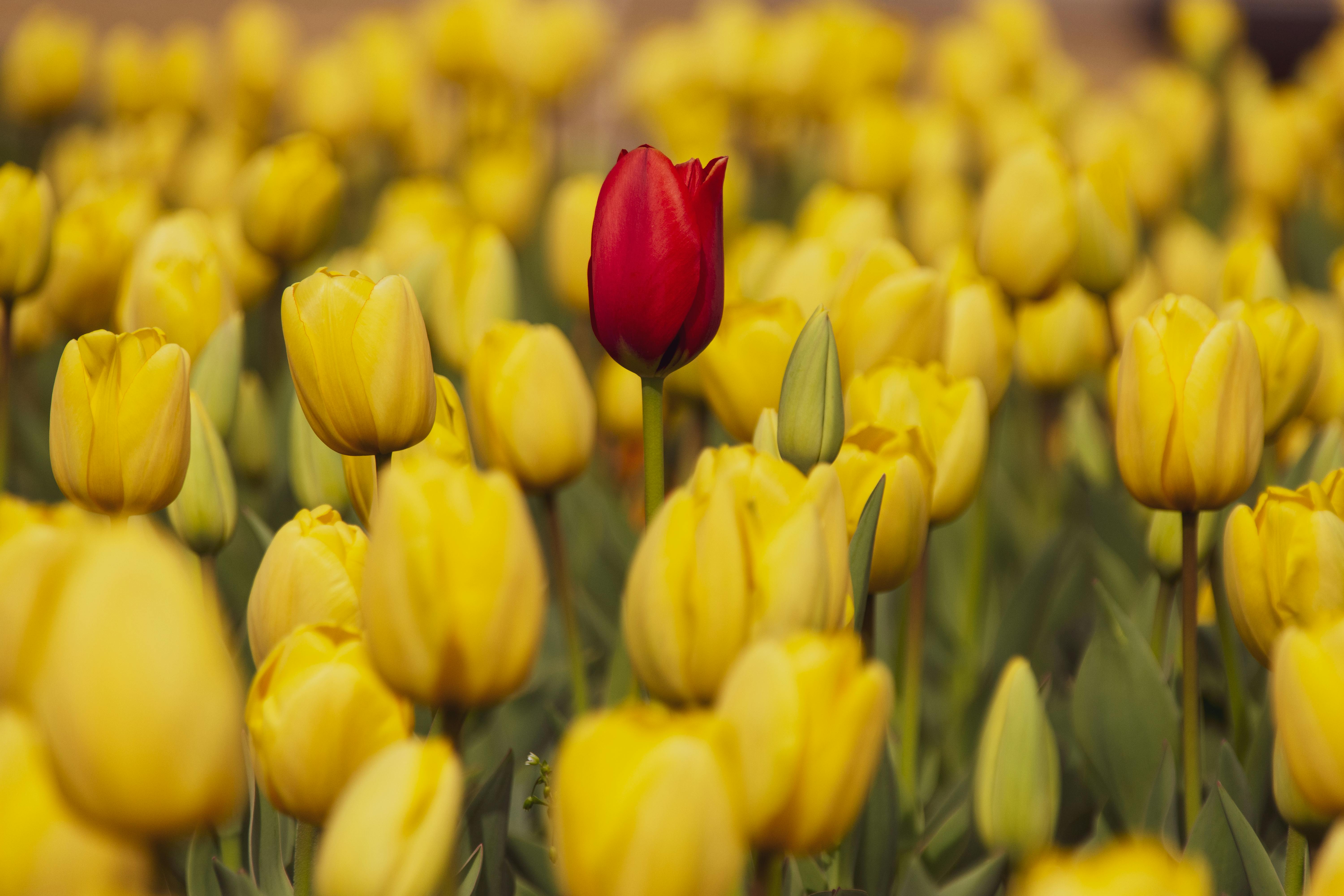 Liz Weston: Knowing difference between fee-based vs fiduciary advisors is key trustworthy investments - OregonLive.com — Phot