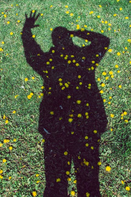 Silhouette of person waving on a grassy field with dandelions.